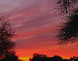 1-14-2013 Red Sunset 2.jpg