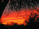 1-14-2013 Red Sunset 3.jpg