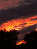 11-6-2013 Sunset 3.jpg
