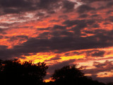 11-6-2013 Sunset 7.jpg