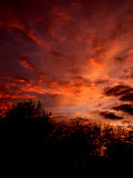 12-31-2013  Sunset 2.jpg
