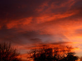 2-8-2014 Fiery Sunset 2.jpg