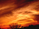 3-27-2014 Cirrus Sunset 2.jpg