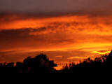 8-11-2014 Red Sunset 3.jpg