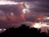 11-29-2014 Sunset Clouds 3.jpg