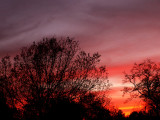 1-4-2015Sunset12.jpg