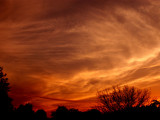 Cirrus  Sunset  2.jpg