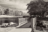 Infrared CMPark 1-8-14 (4) Footbridge.jpg