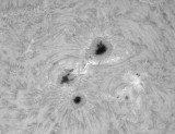 AR11504