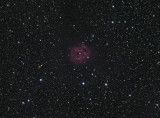 IC5146