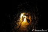 D' Japanese Tunnel