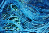 Blue-tangled world