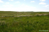 sw. North Dakota prairie