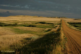 Slope County Prairie