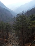Myohyangsan (3).jpg