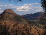 After the Bushfire 5 - Near Siding Spring Observatory