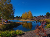 Great Place for a Picnic