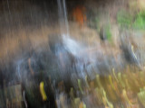 Water Falls