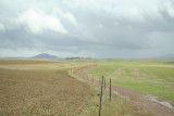 Alentejo - Castro Verde