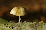 _DSC1457 Eerde