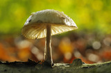 _DSC1459 Eerde