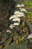 _DSC1500 Eerde