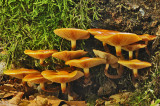 DSC_5429 (Lonnekermeer)