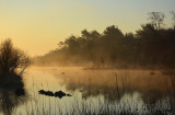 Haaksbergerveen in het ochtendlicht/Haaksbergerveen in the morninglight.