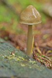 DSC_1471