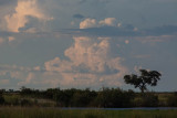 Chobe,Botswana