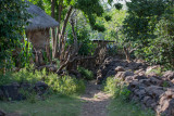 Kongo Village