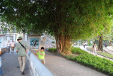 Alan serenaded by a street musician - Hanoi, Vietnam