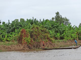 Two guys in a sampan - in Cambodia while traveling by boat from Chau Doc, Vietnam to Phnom Penh, Cambodia