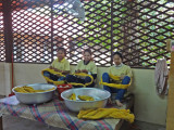 A working silk farm in the rural district of Puok - about a 20 minute drive from the center of Siem Reap, Cambodia 