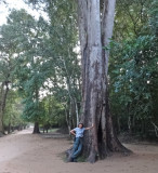 Judy next to a big tree at the entrance to the Ta Prohm Temple in Angkor, Siem Reap Province, Cambodia