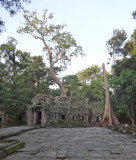 Ta Prohm Temple - in Angkor, Siem Reap Province, Cambodia