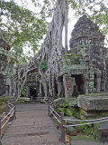Ta Prohm Temple - eerily beautiful and other worldly - nature was conquered to create it - nature now is reclaiming it