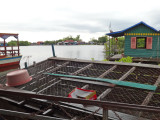 Crocodiles in a crate at a crocodile farm on Tonle Sap Lake, Siem Reap Province, Cambodia