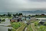 Lake Biwa and rice paddies as seen from our train approaching Kyoto from Komatsu  