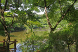 The Kyoyochi Pond at the Ryoanji Temple in Kyoto