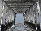 Under the fishing pier - East Coast of Tybee Island