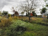 east from pasture, toward nursery