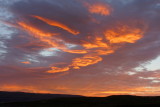 Ágústroðinn