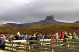 Réttir 2013
