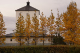 Haustið nálgast í fossvogi