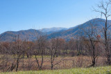 Snowy Smokies