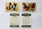 WANTED Butterflies of the World cards