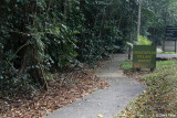 9565-daintree.jpg