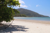 1746-daintree.jpg