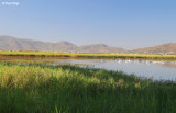 2741b-townsville.jpg
